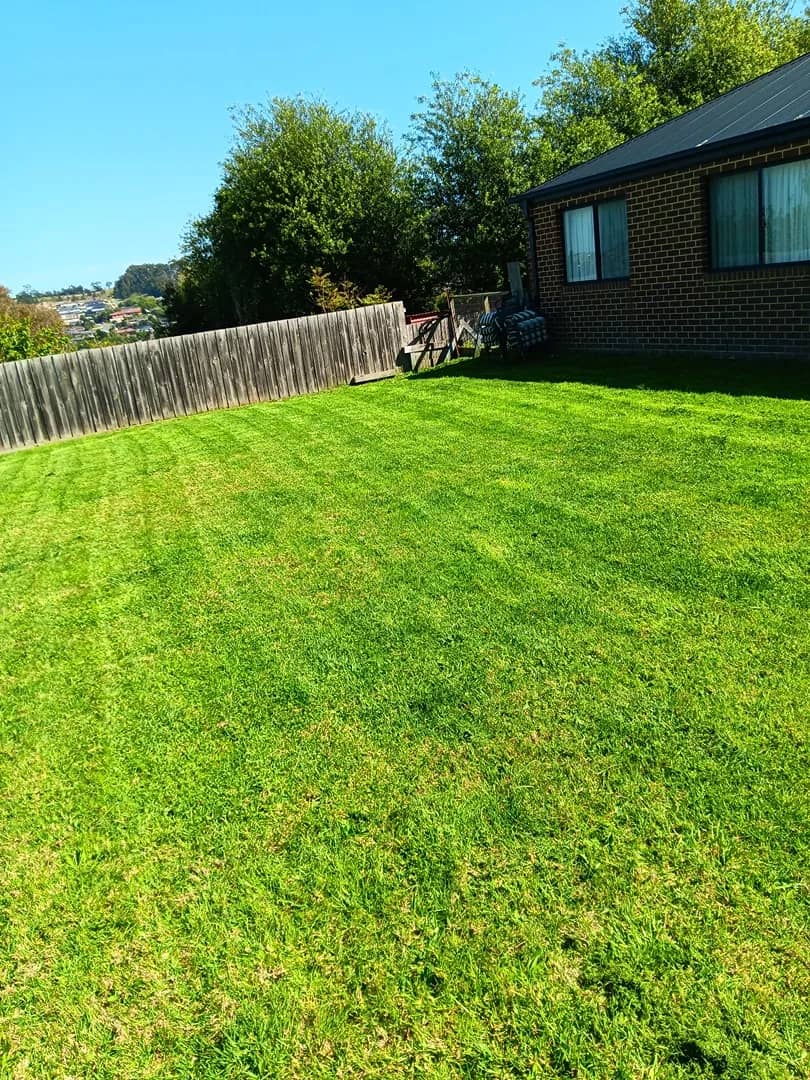 Maintained garden after a Terra Maintenance visit in Pakenham