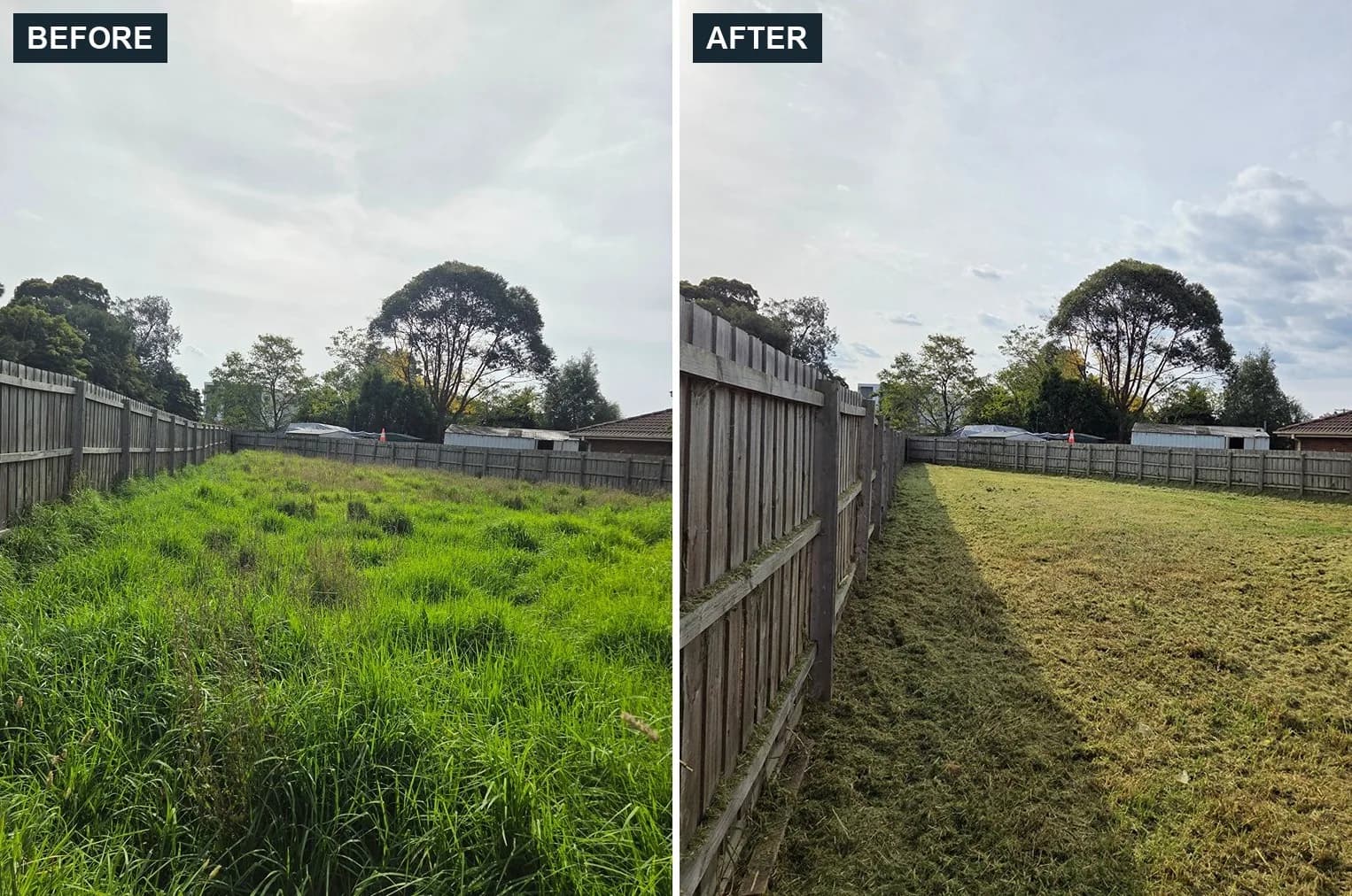 Before and after overgrowth clearing on a property in Cranbourne by Terra Maintenance
