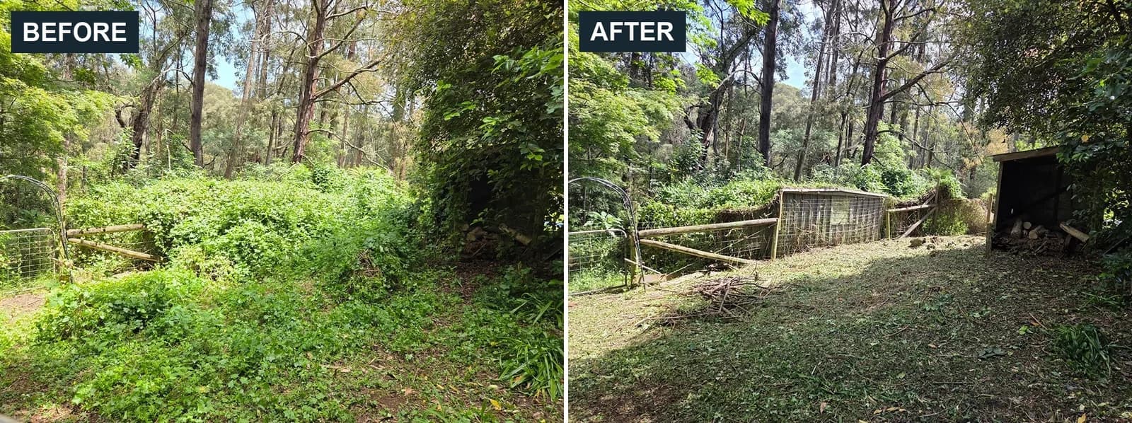 Before and after overgrowth clearing on a property in Avonsleigh by Terra Maintenance