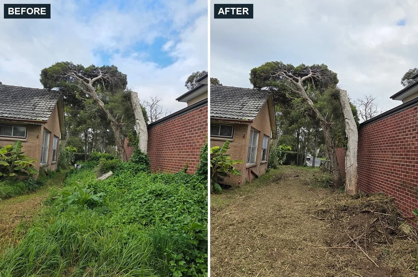 Before and after overgrowth clearing on a property in Knoxfield by Terra Maintenance