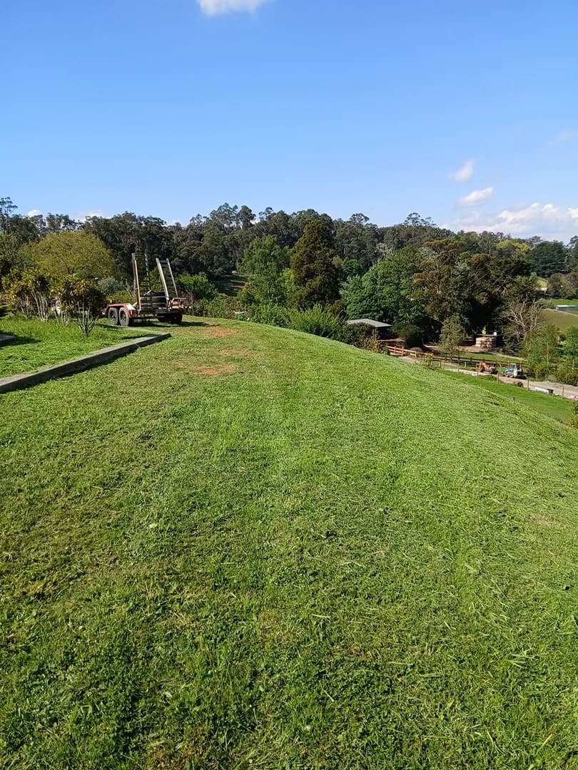 Freshly mown lawn after a Terra Maintenance visit in Emerald