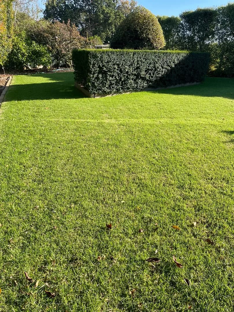 Cleared and tidied property after a Terra Maintenance visit in Harkaway