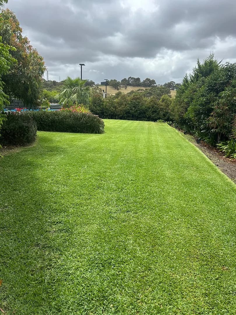 Freshly mown lawn after a Terra Maintenance visit in Beaconsfield