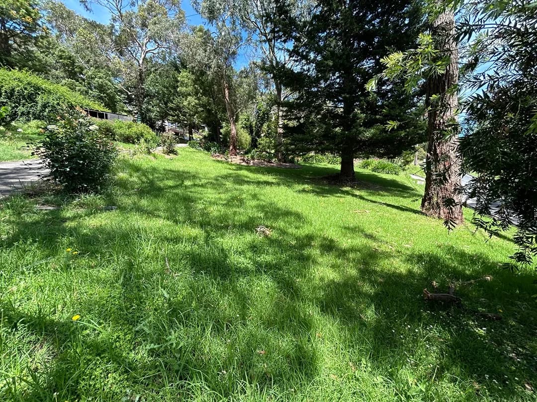 Freshly mown lawn after a Terra Maintenance visit in Upper Ferntree Gully
