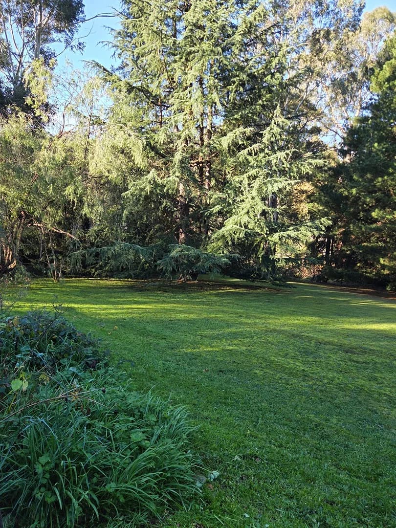 Freshly mown lawn after a Terra Maintenance visit in Cockatoo
