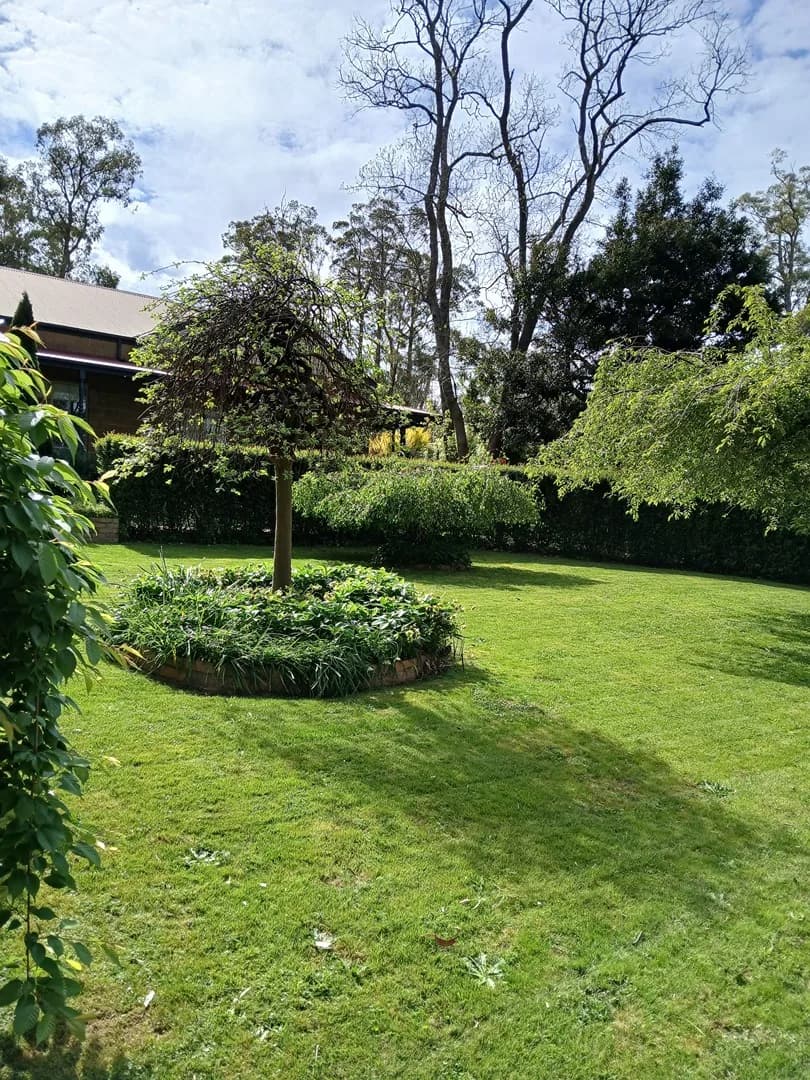 Freshly mown lawn after a Terra Maintenance visit in Cockatoo
