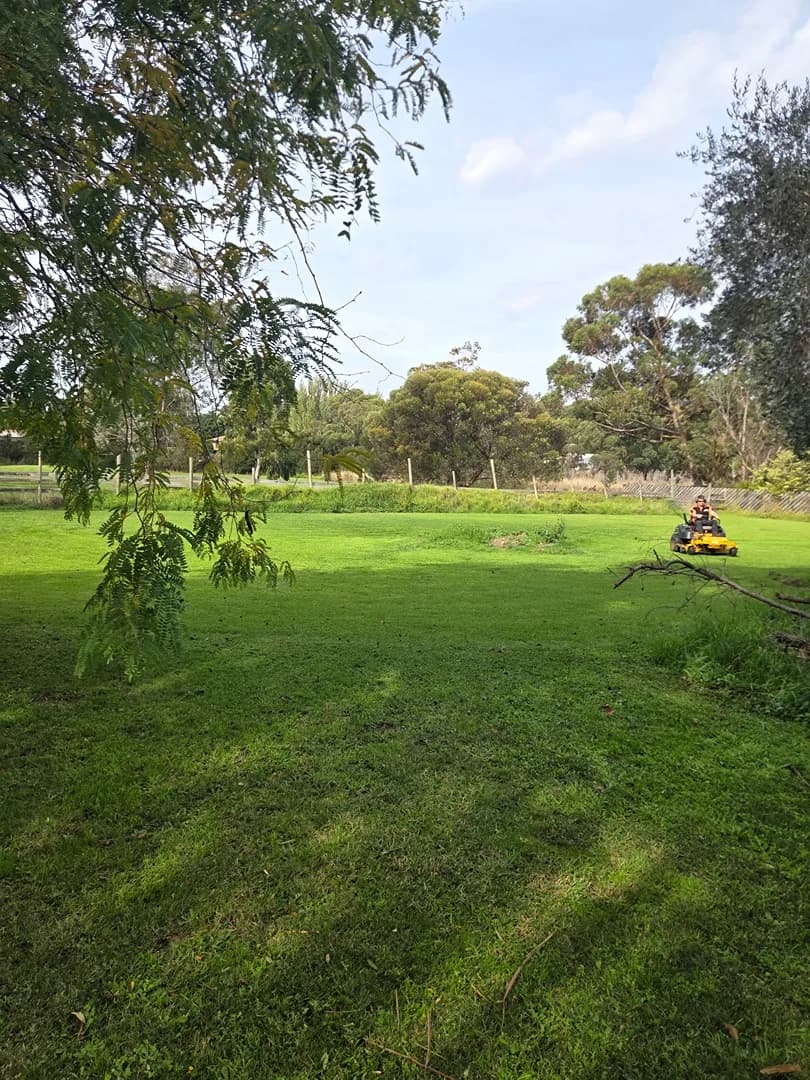 Freshly mown lawn after a Terra Maintenance visit in Cranbourne East