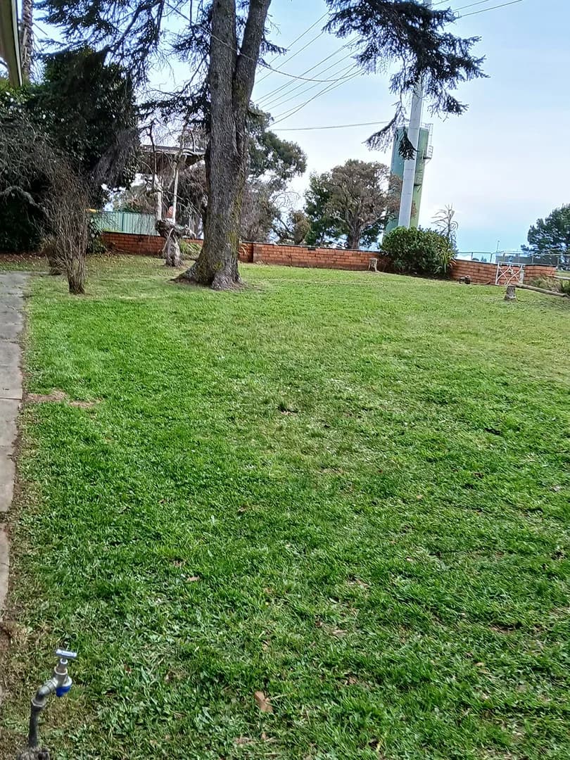 Freshly mown lawn after a Terra Maintenance visit in Gembrook
