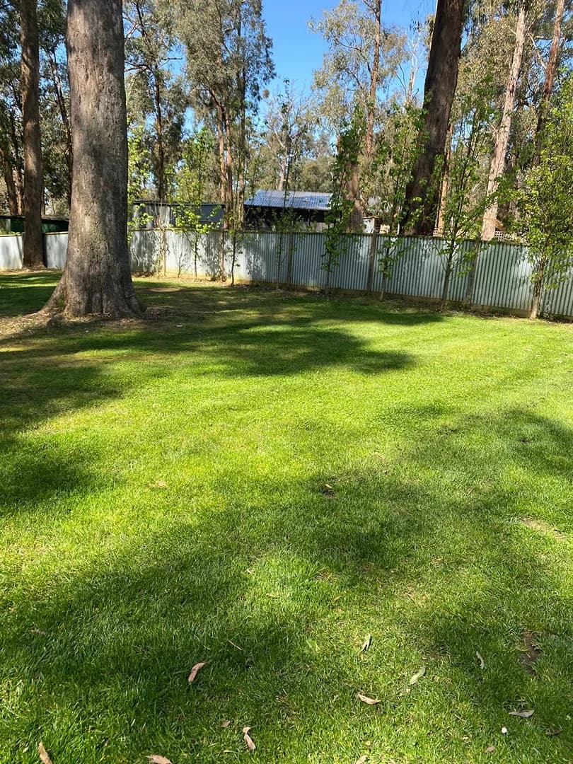 Freshly mown lawn after a Terra Maintenance visit in Cockatoo