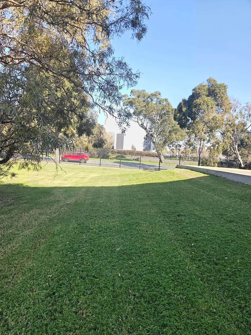 Freshly mown lawn after a Terra Maintenance visit in Dandenong South