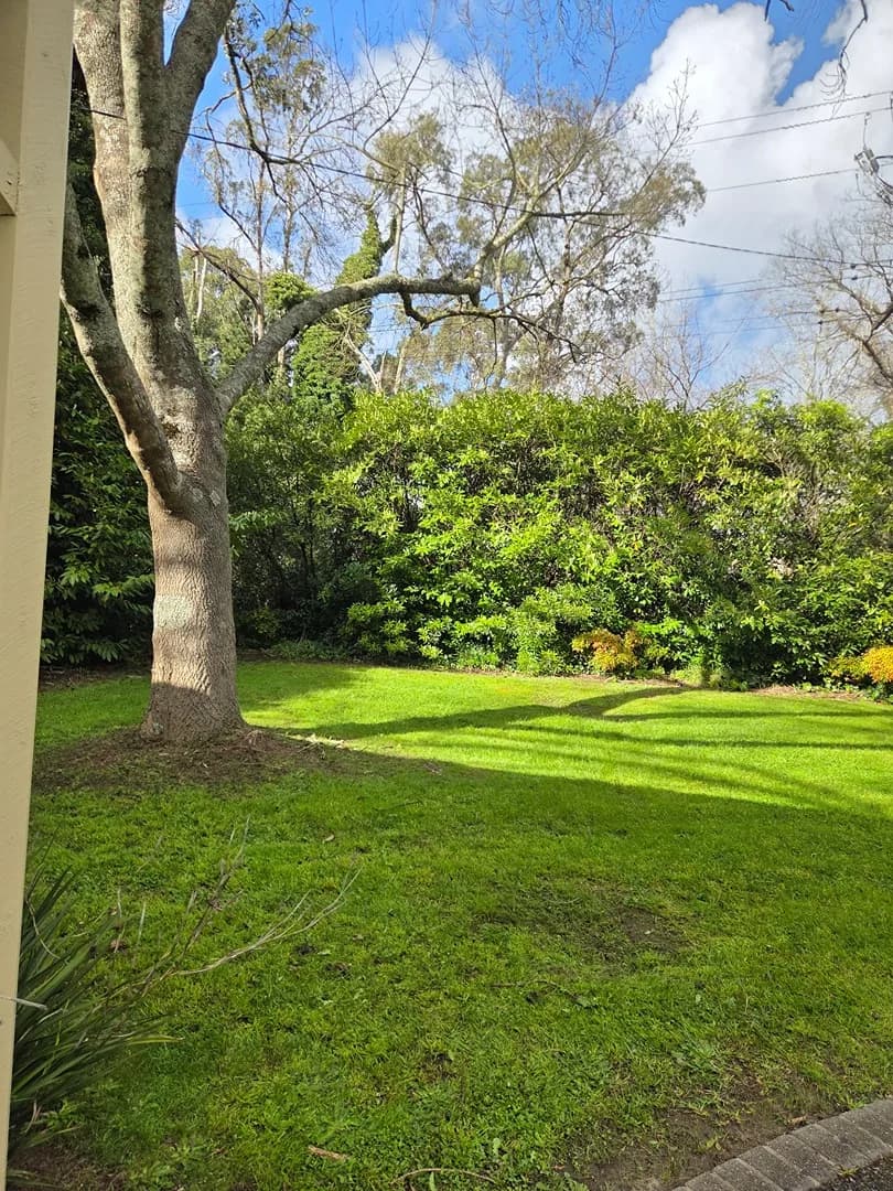 Freshly mown lawn after a Terra Maintenance visit in Emerald