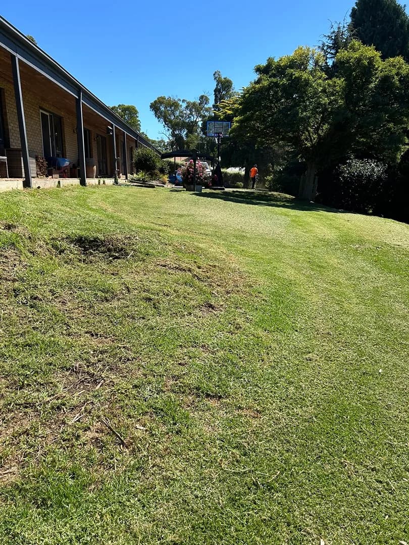 Maintained garden after a Terra Maintenance visit in Emerald