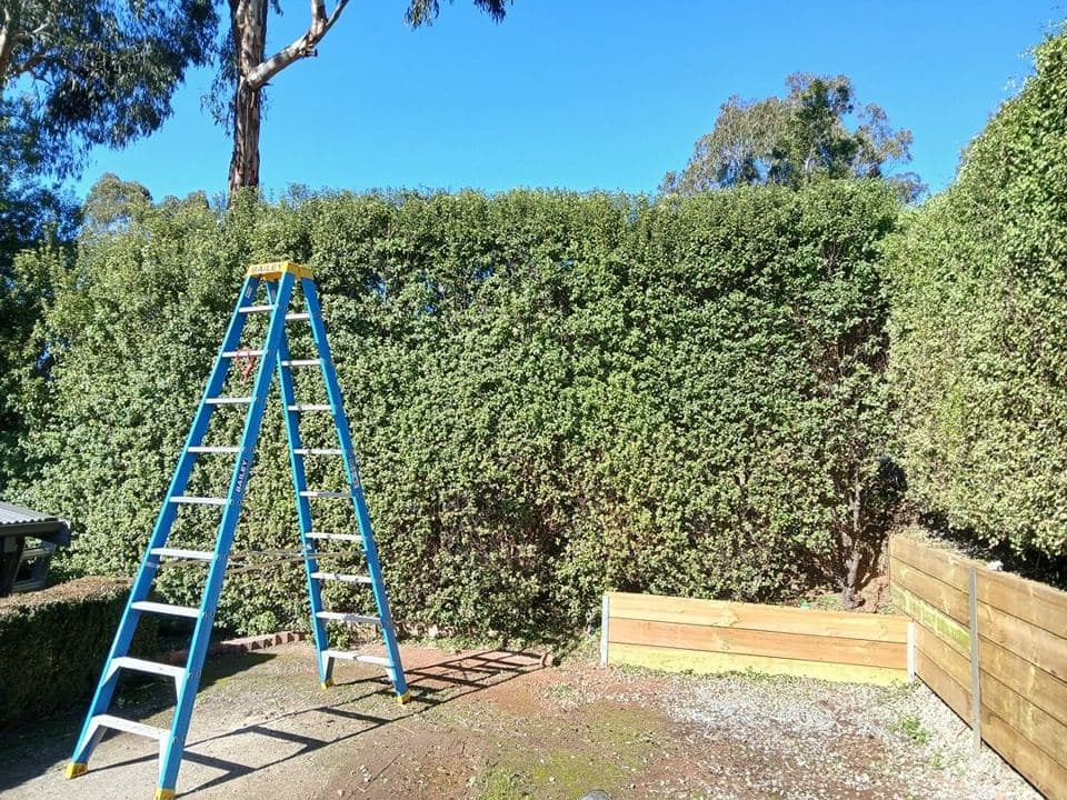 Cleared and tidied property after a Terra Maintenance visit in Cockatoo