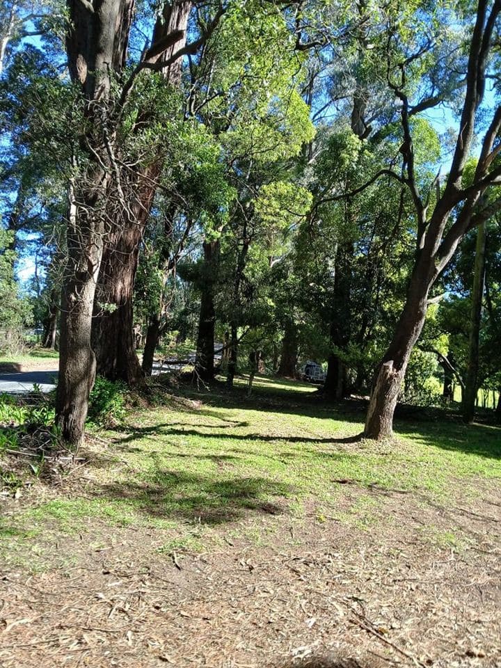 Freshly mown lawn after a Terra Maintenance visit in Cockatoo