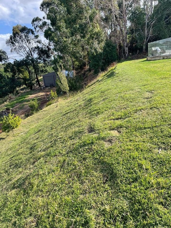 Freshly mown lawn after a Terra Maintenance visit in Emerald