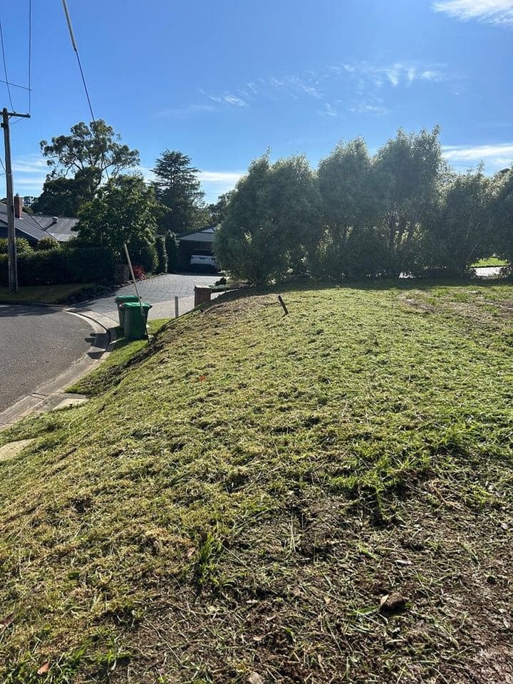 Cleared and tidied property after a Terra Maintenance visit in Monbulk