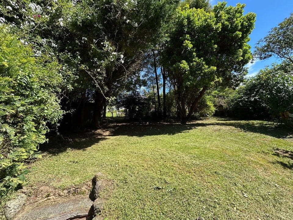 Freshly mown lawn after a Terra Maintenance visit in Monbulk