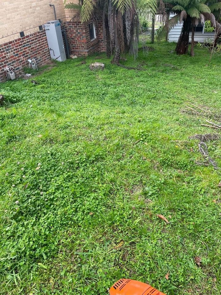 Maintained garden after a Terra Maintenance visit in Monbulk