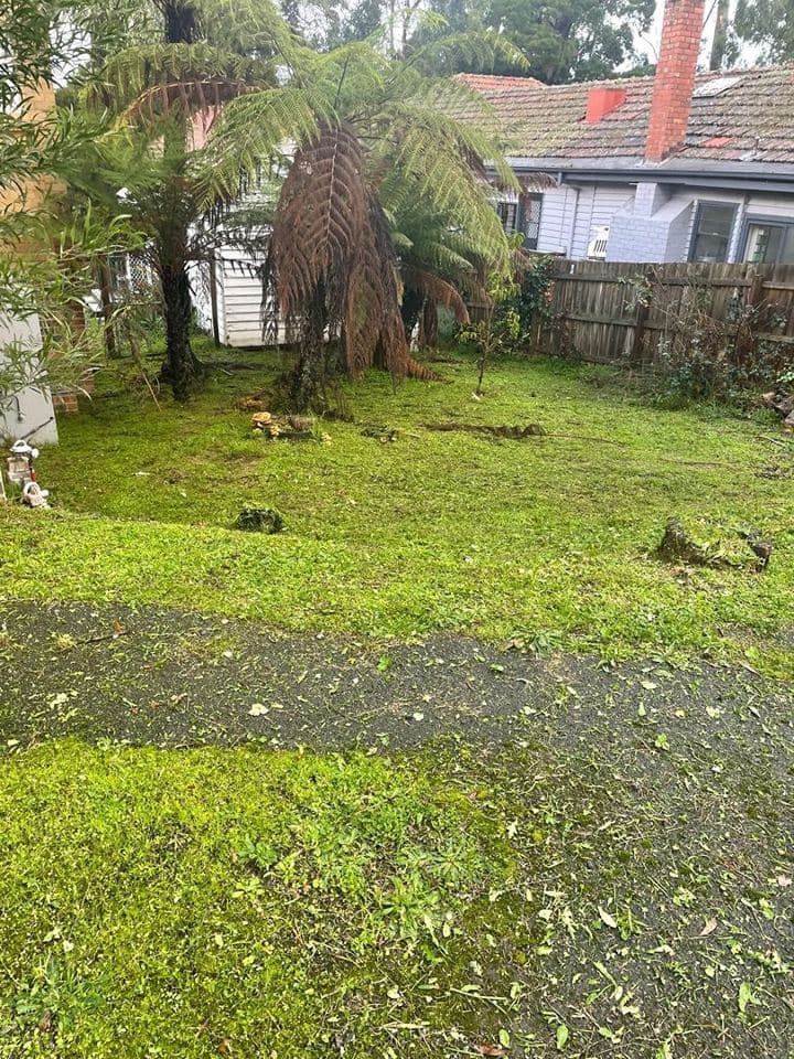 Maintained garden after a Terra Maintenance visit in Monbulk