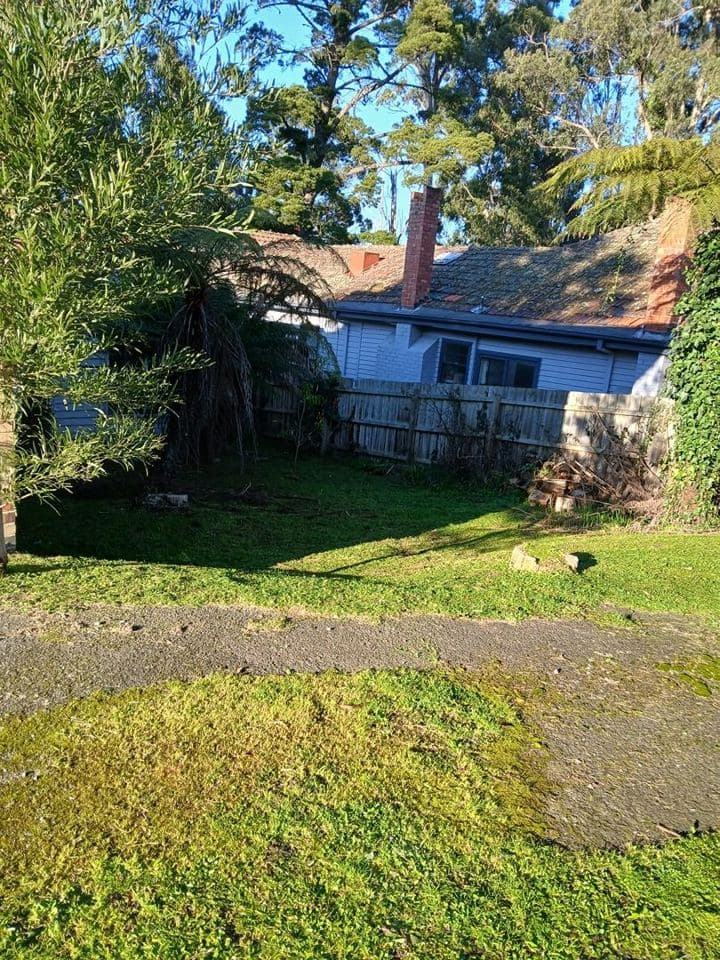 Maintained garden after a Terra Maintenance visit in Monbulk
