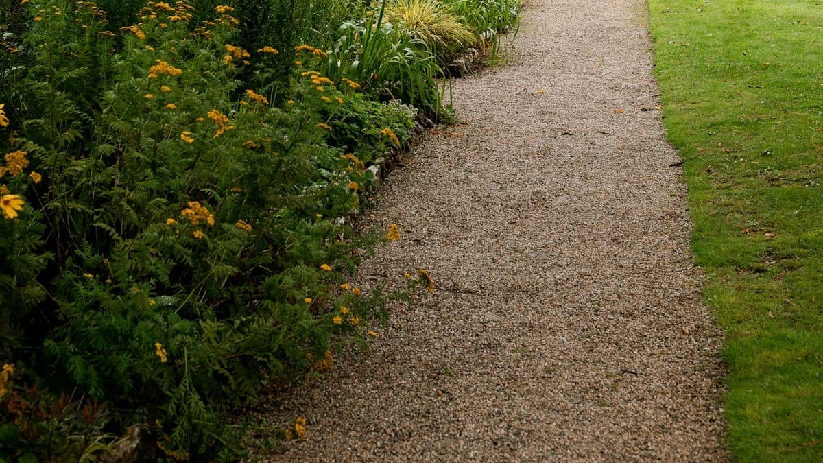 Garden Maintenance in Melbourne: A Season-by-Season Guide