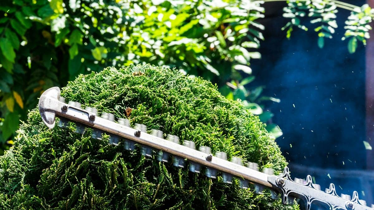 How to Choose a Grounds Maintenance Provider in Melbourne