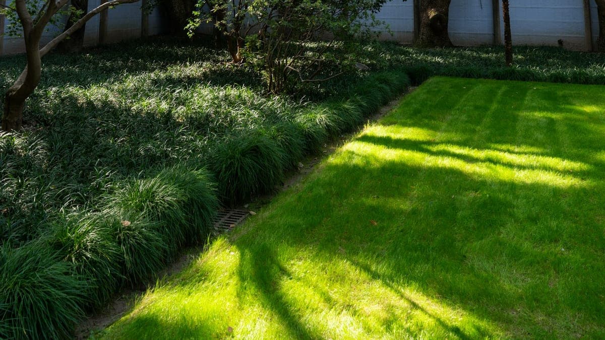 Lawn Care Melbourne: How to Keep Your Lawn Healthy Year-Round