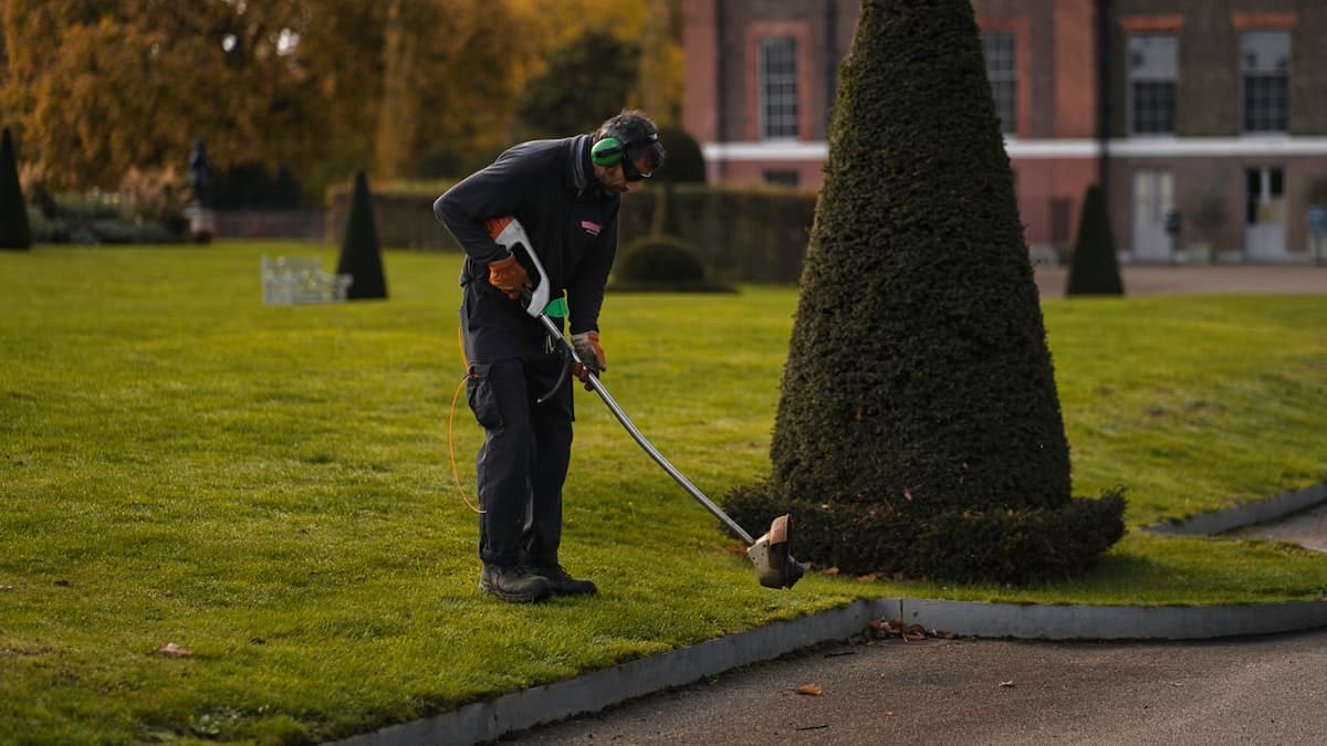 Ultimate Guide: Grounds Maintenance in Melbourne's Dandenongs