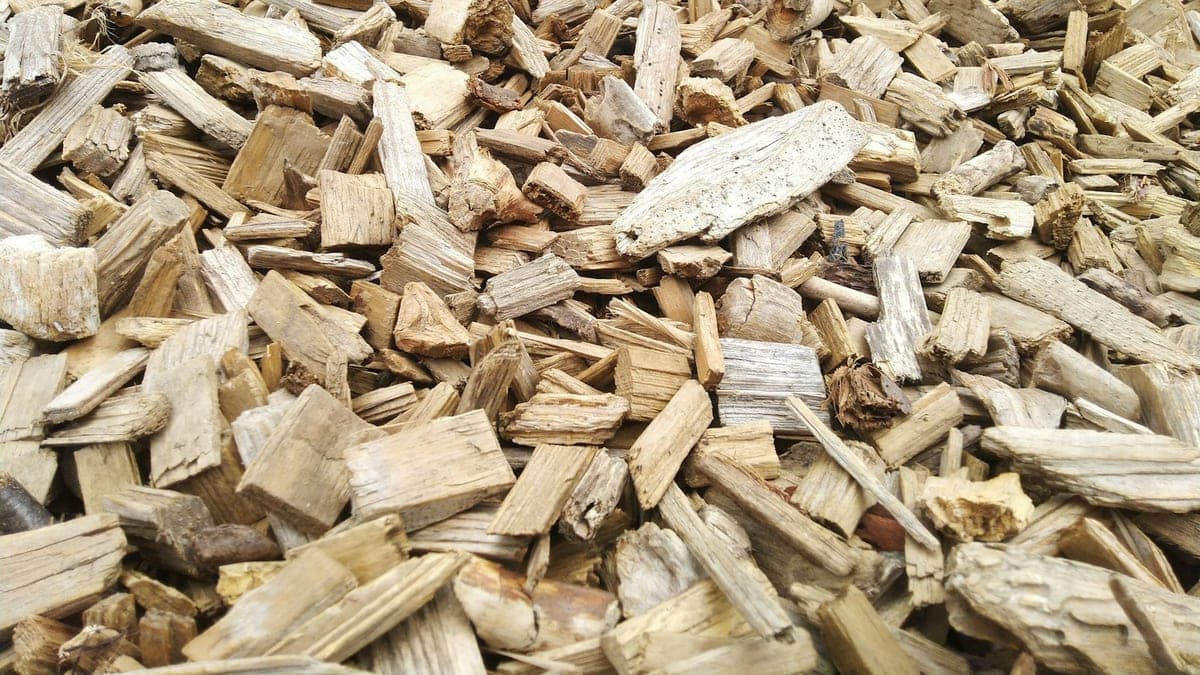 Wood Chipping Melbourne: Turn Green Waste Into Garden Gold