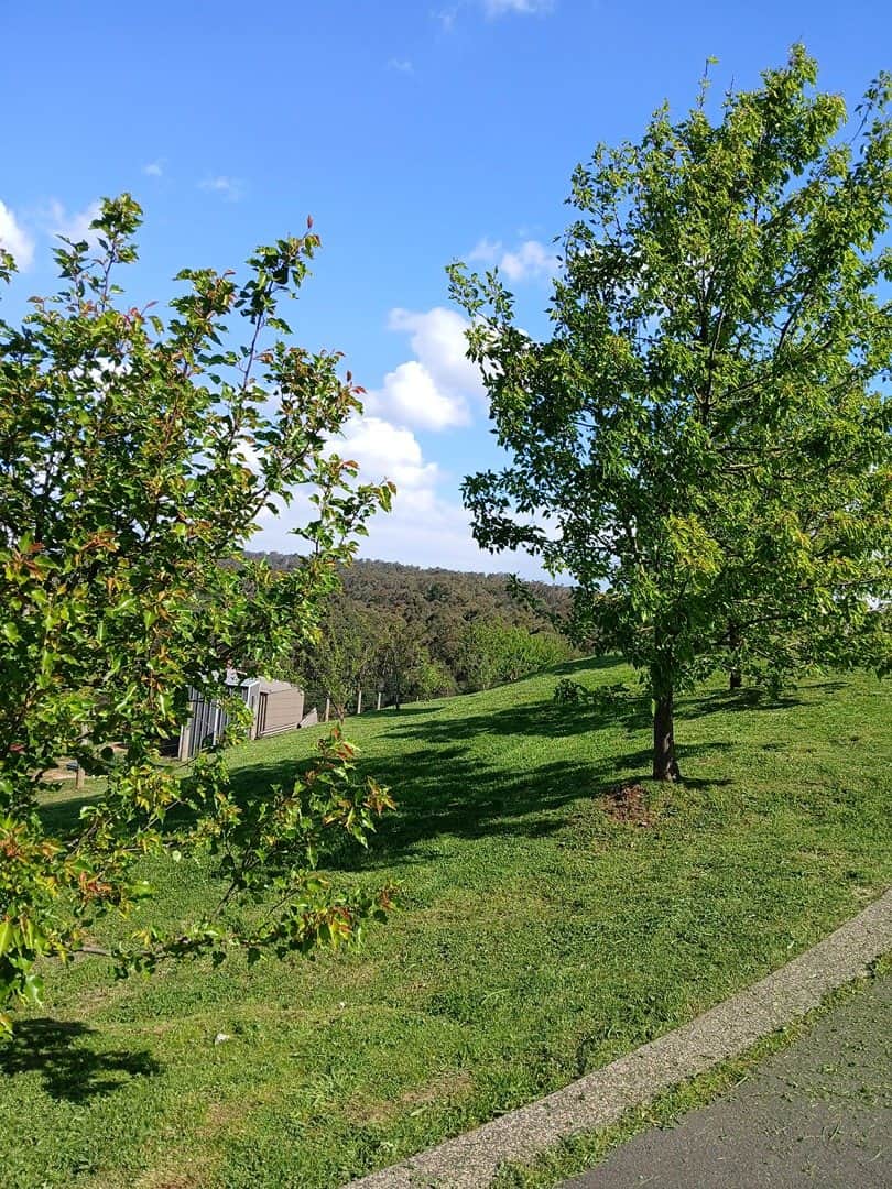Mown lawn with a view of the hills in Emerald, where Terra Maintenance is based