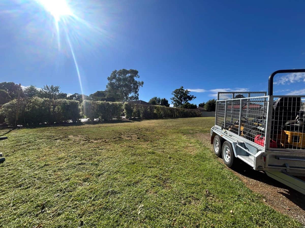 Terra Maintenance leaf removal & seasonal clean up service - professional grounds maintenance