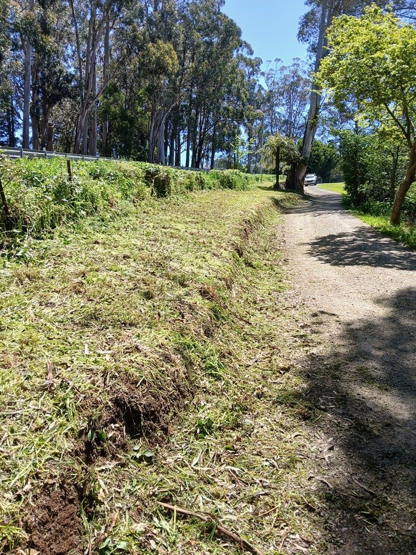 Path slashed through long grass on acreage in Cockatoo