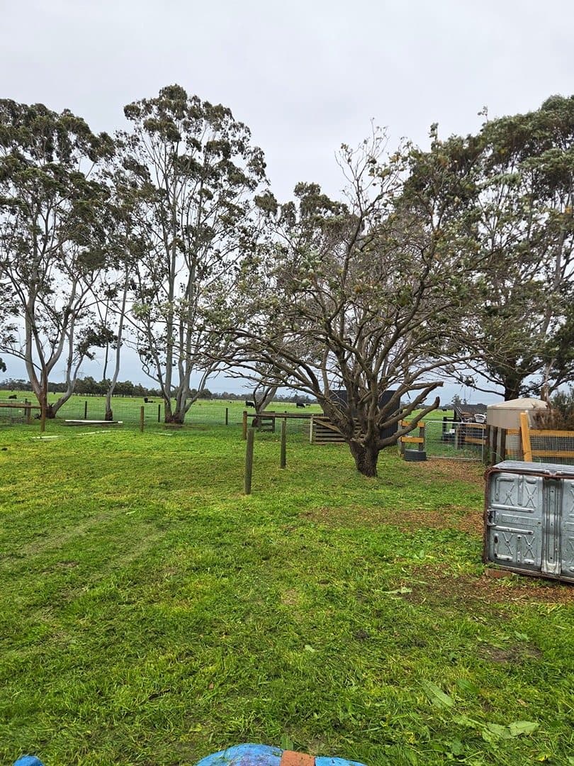 Acreage slashed in Nar Nar Goon
