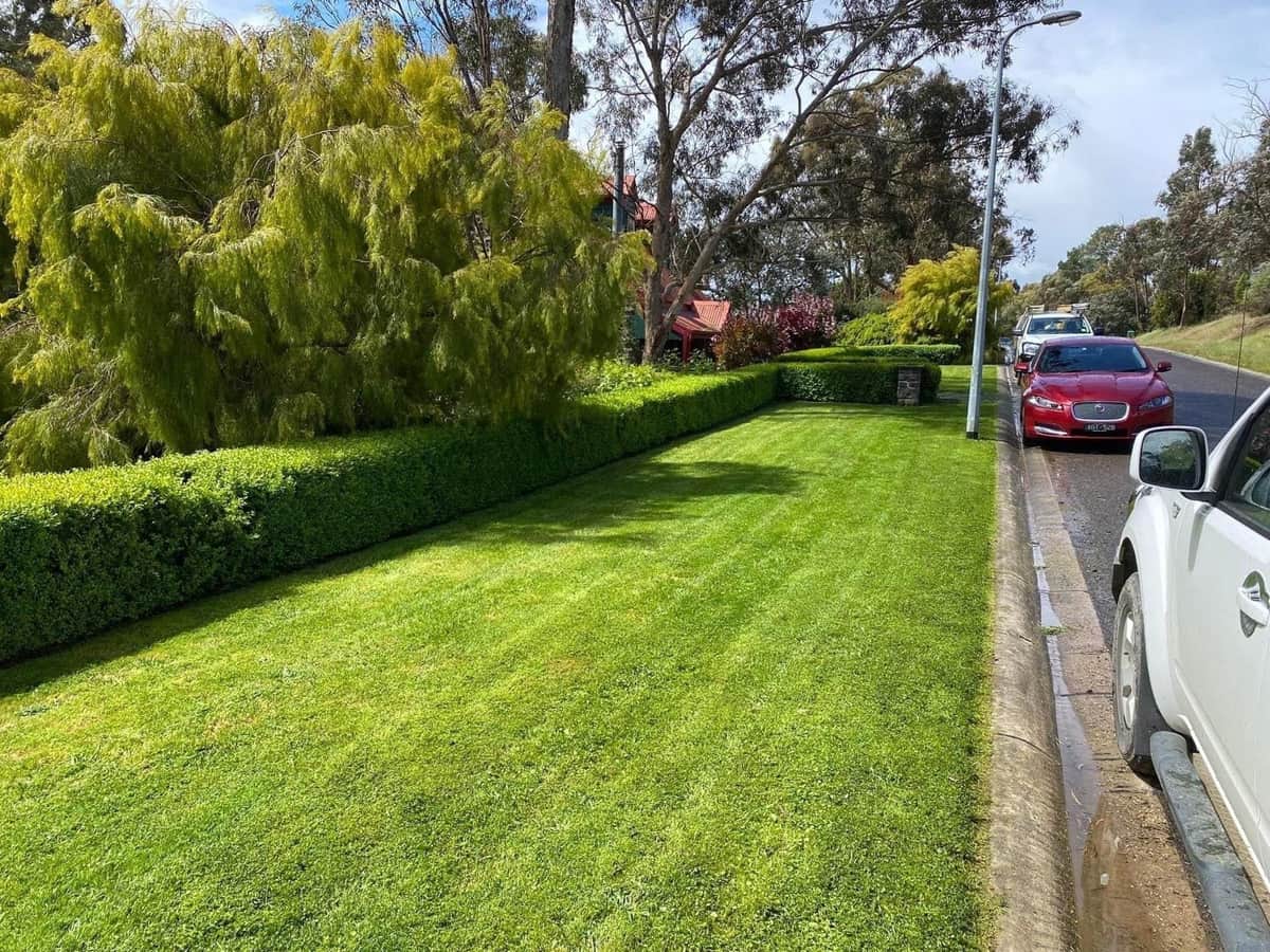 Terra Maintenance mowing services service - professional grounds maintenance