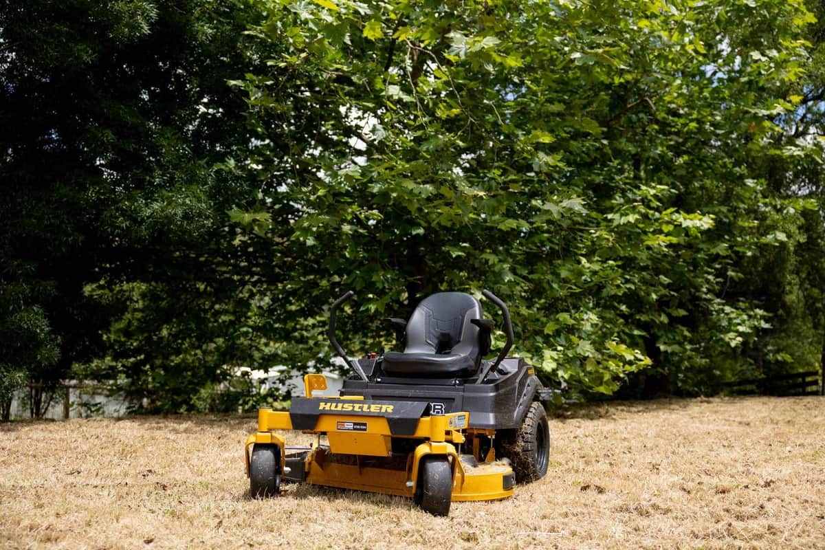 Terra Maintenance overgrowth management service - professional grounds maintenance