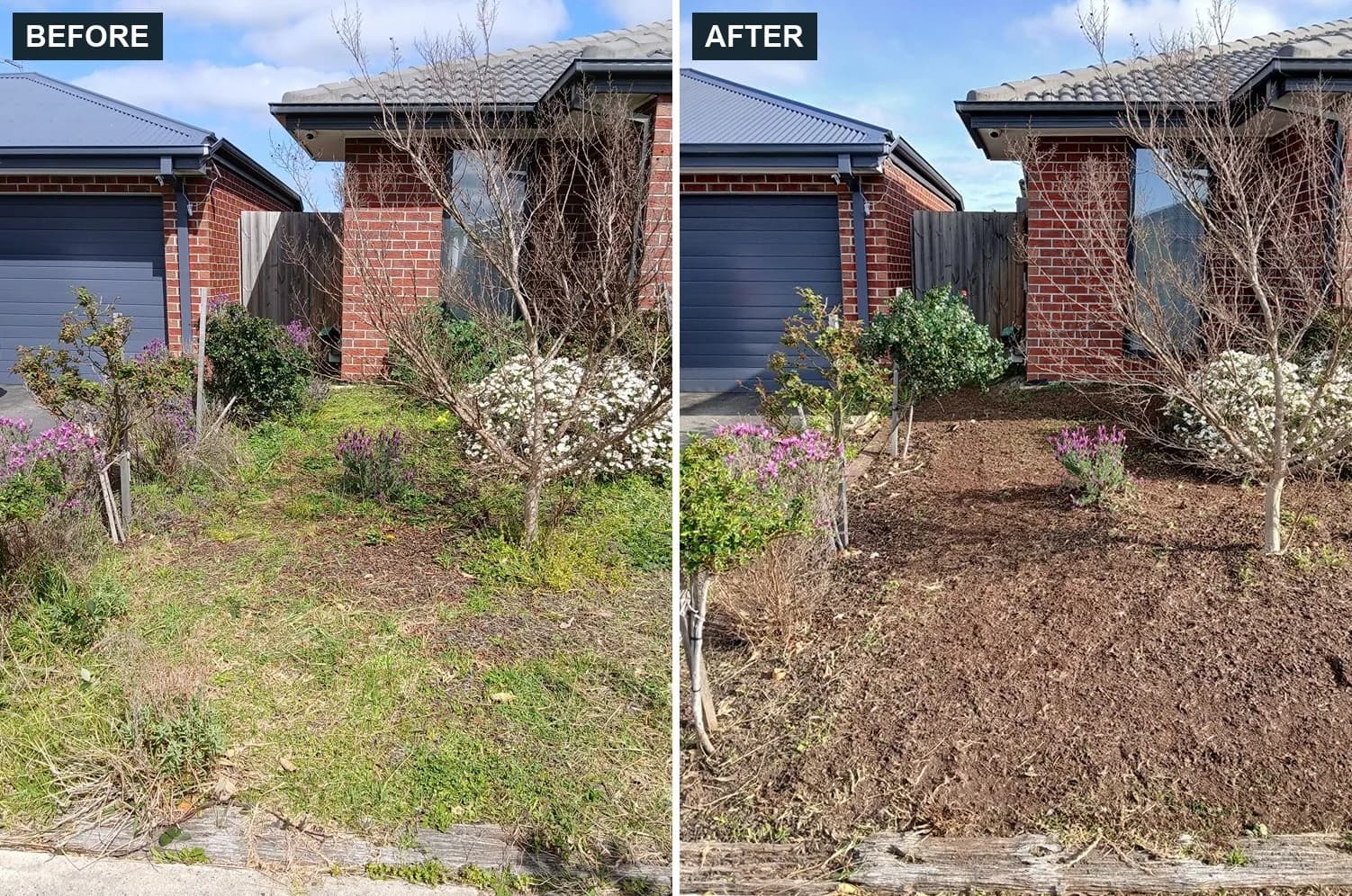 Before and after garden weeding in Officer by Terra Maintenance