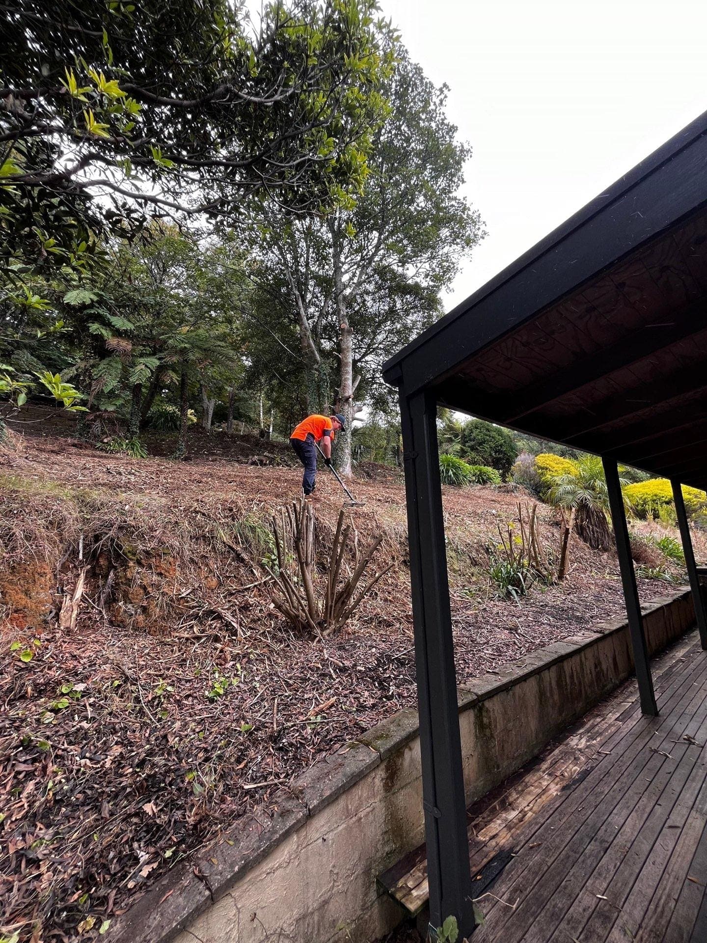 Terra Maintenance crew clearing a weedy, overgrown garden bed on a Dandenong Ranges hillside property