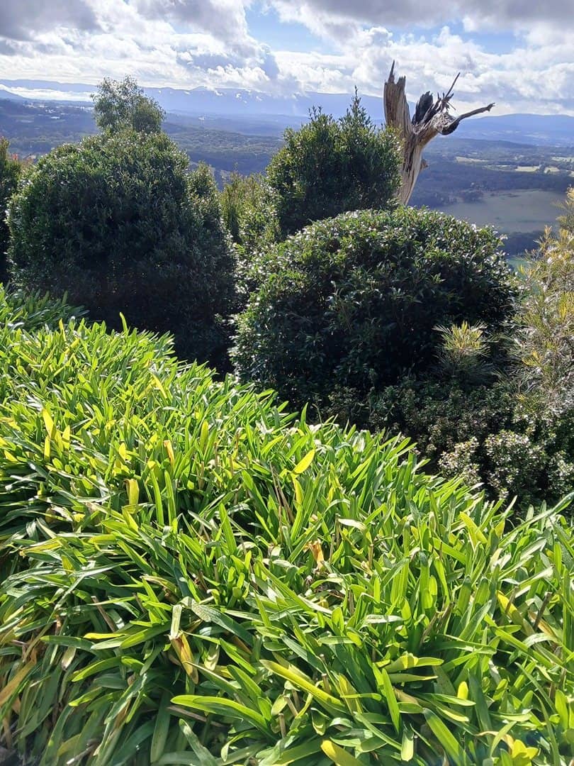Maintained garden with a view across the Dandenong Ranges in Kallista