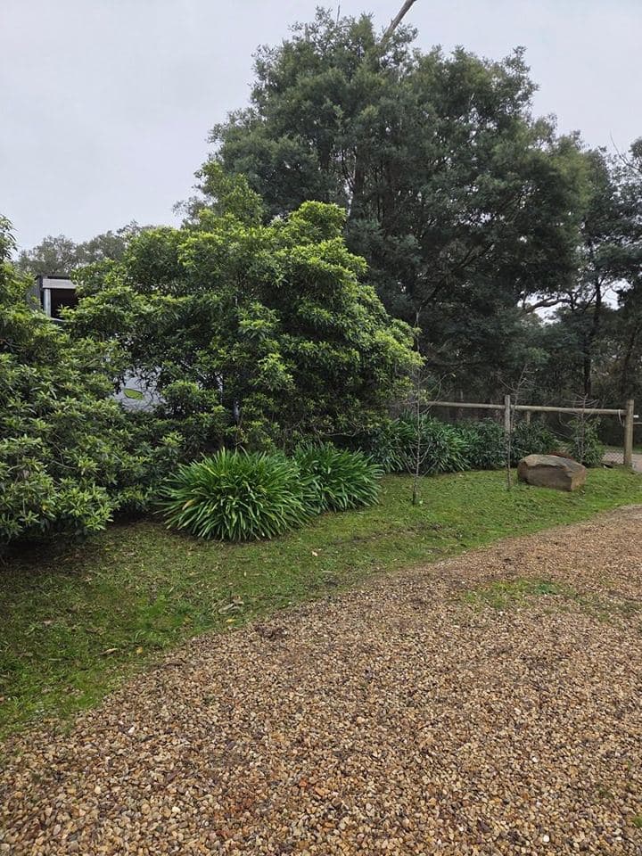 Freshly mown lawn after a Terra Maintenance visit in Beaconsfield Upper