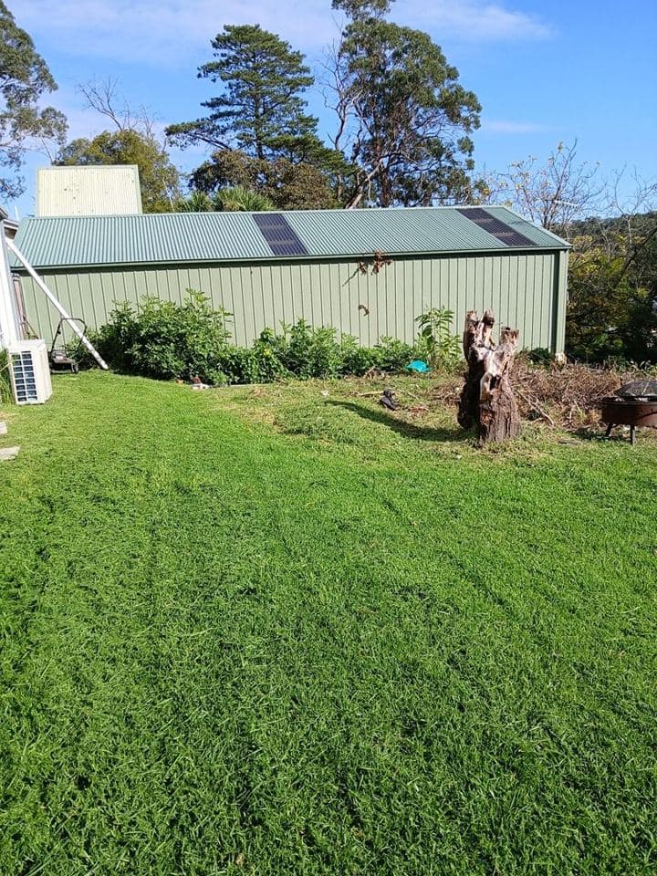 Weeded and mulched garden bed after a Terra Maintenance visit in Belgrave