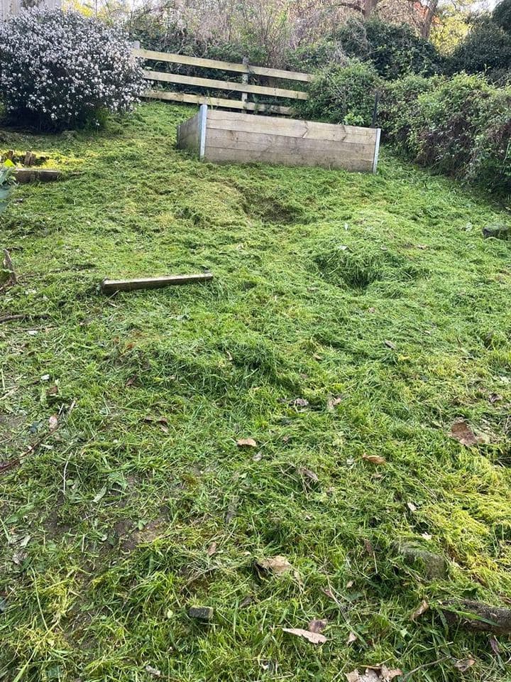 Cleared and tidied property after a Terra Maintenance visit in Belgrave