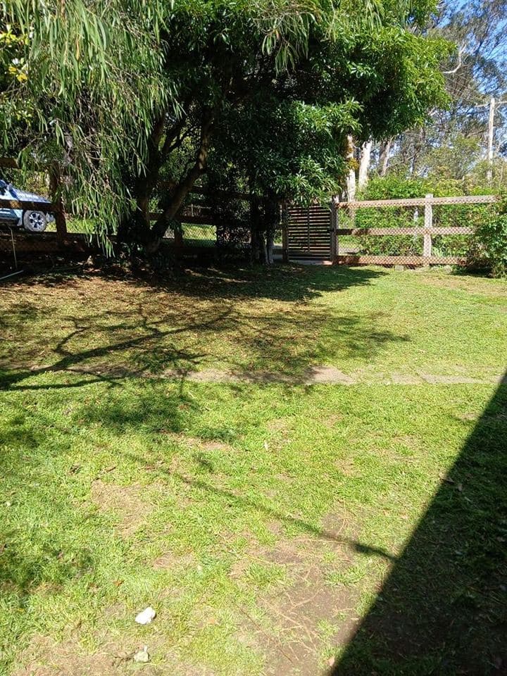Weeded and mulched garden bed after a Terra Maintenance visit in Belgrave