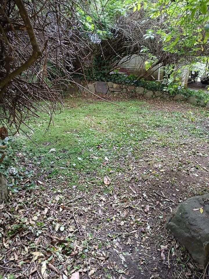 Freshly mown lawn after a Terra Maintenance visit in Belgrave