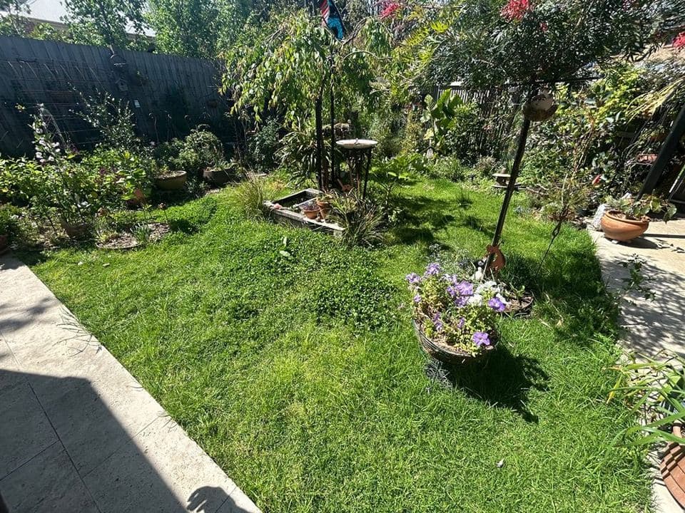 Cleared and tidied property after a Terra Maintenance visit in Berwick