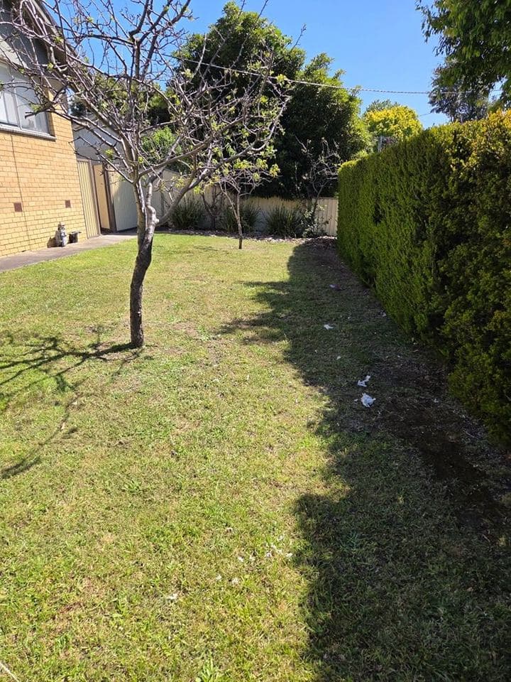 Maintained garden after a Terra Maintenance visit in Dandenong