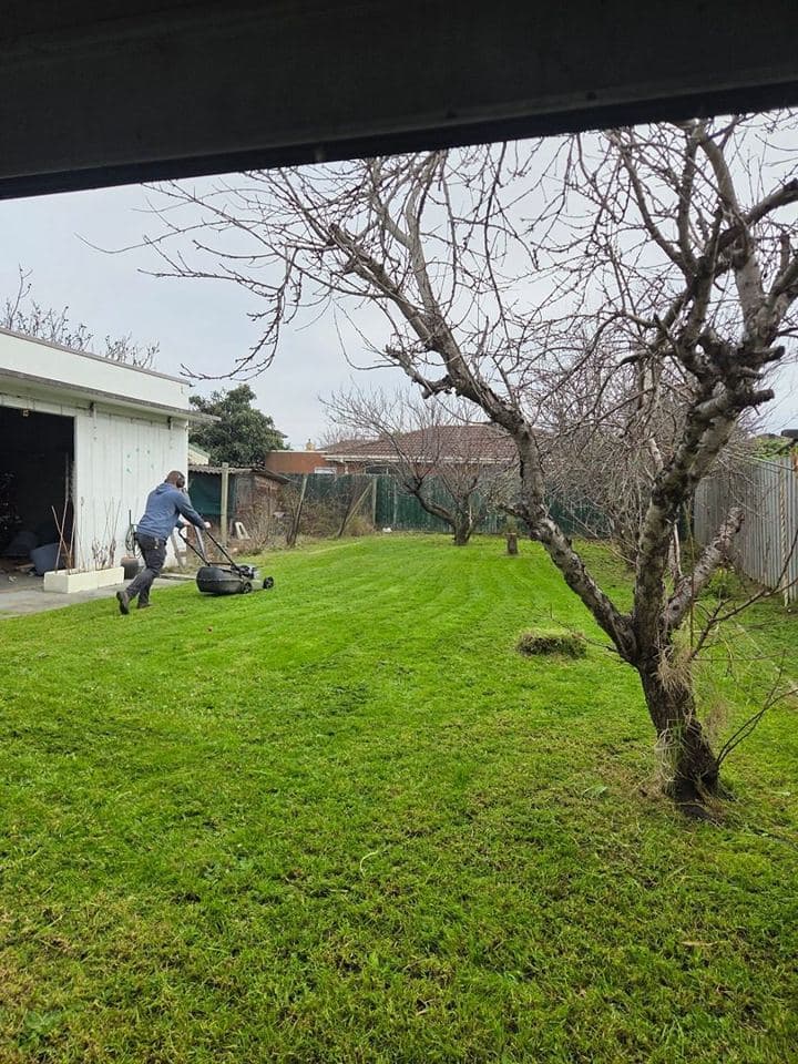 Cleared and tidied property after a Terra Maintenance visit in Dandenong