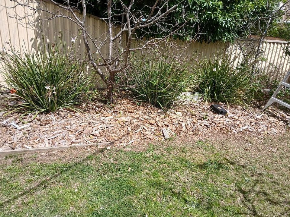 Maintained garden after a Terra Maintenance visit in Dandenong
