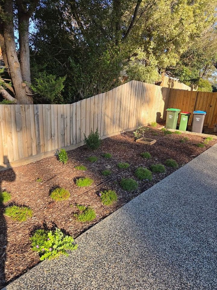 Freshly mown lawn after a Terra Maintenance visit in Ferntree Gully