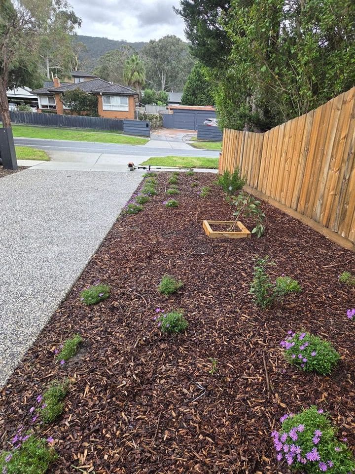 Freshly mown lawn after a Terra Maintenance visit in Ferntree Gully