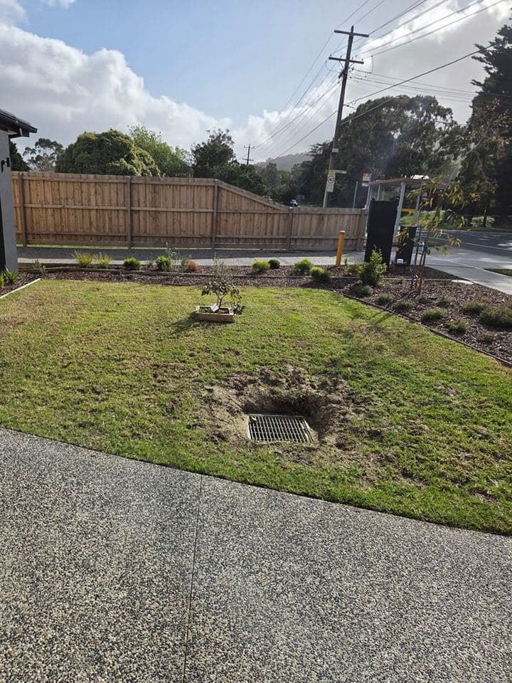 Freshly mown lawn after a Terra Maintenance visit in Ferntree Gully